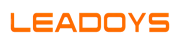 2014 LEADOYS was established