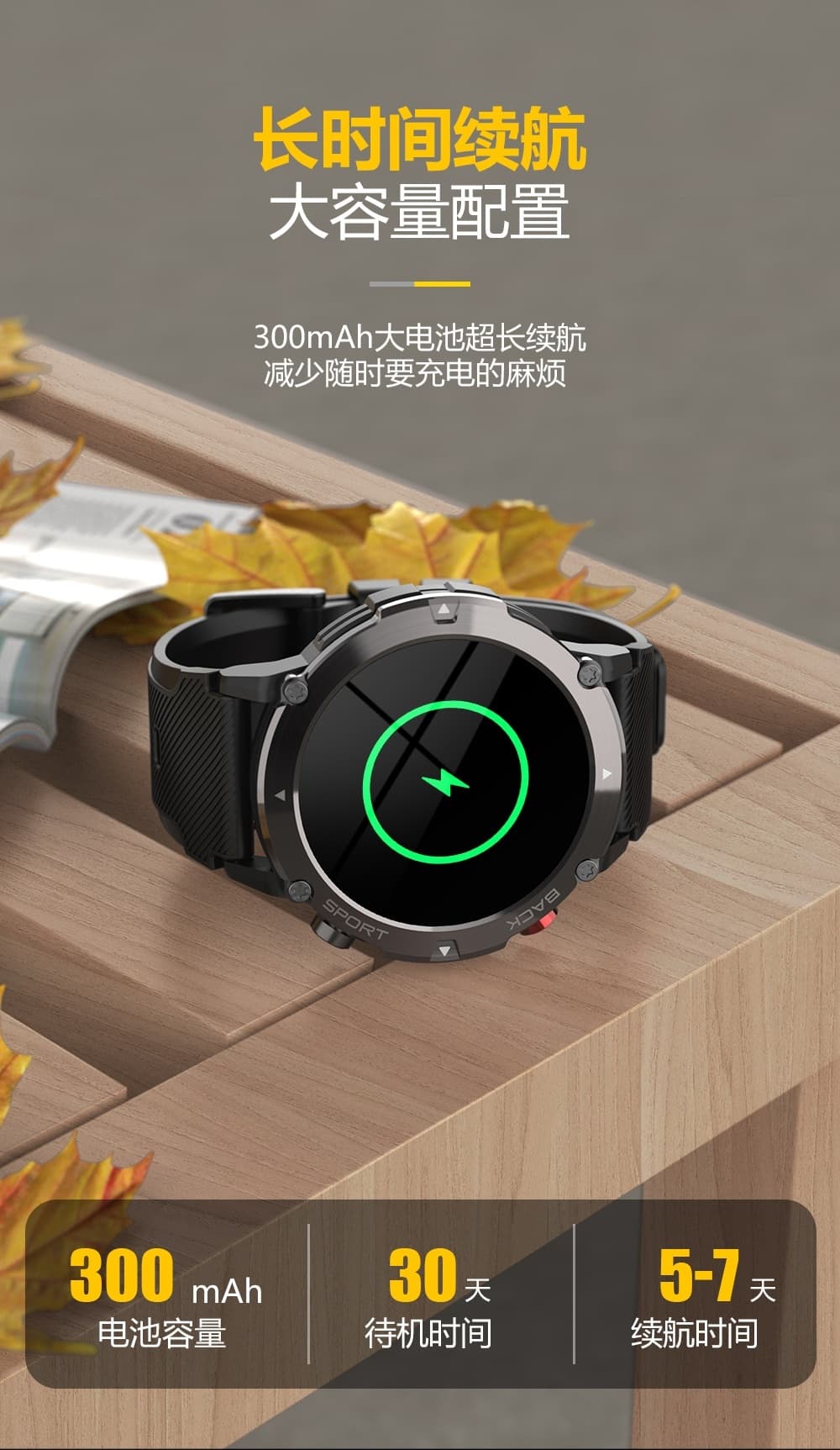 C21 智能手表(图17)