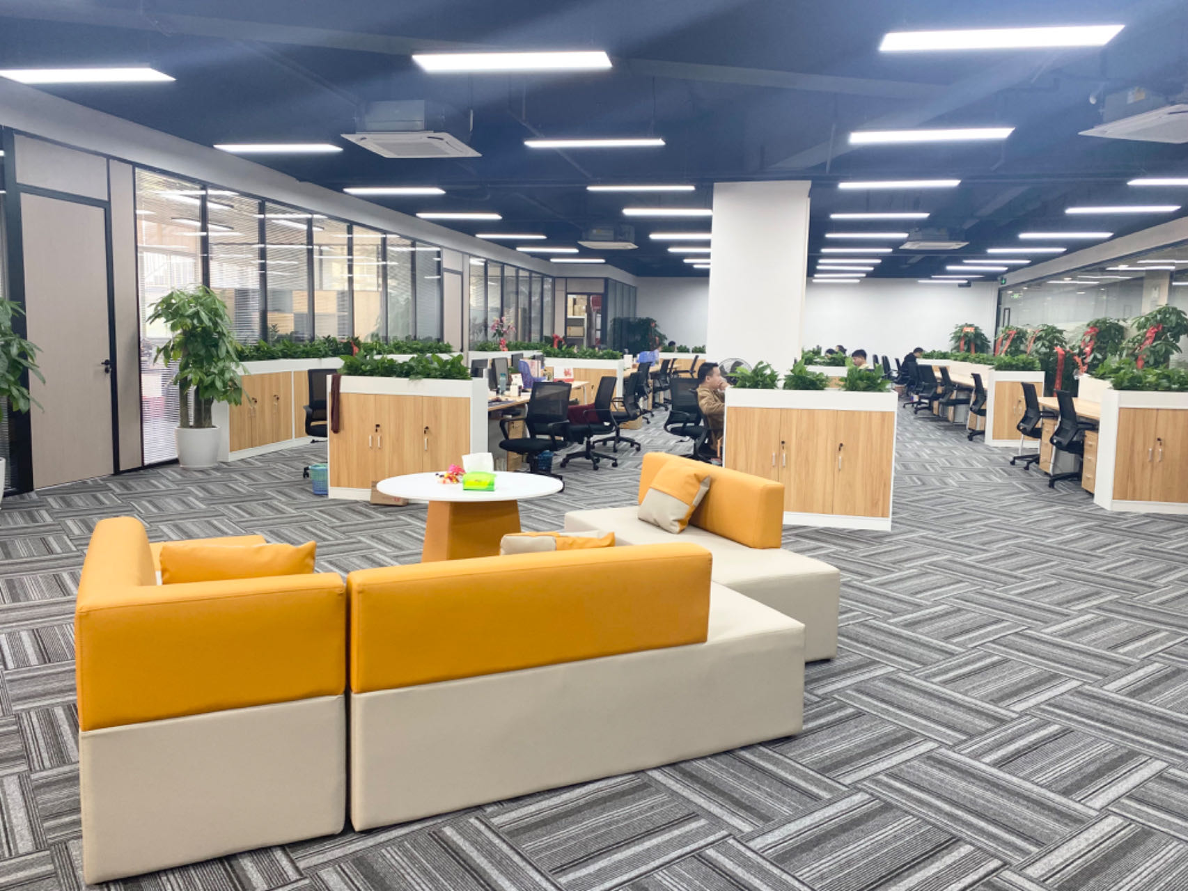 Leadoys moving to new office(图1)